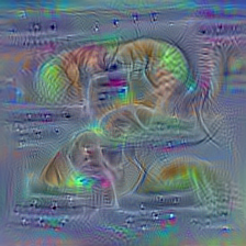 n06359193